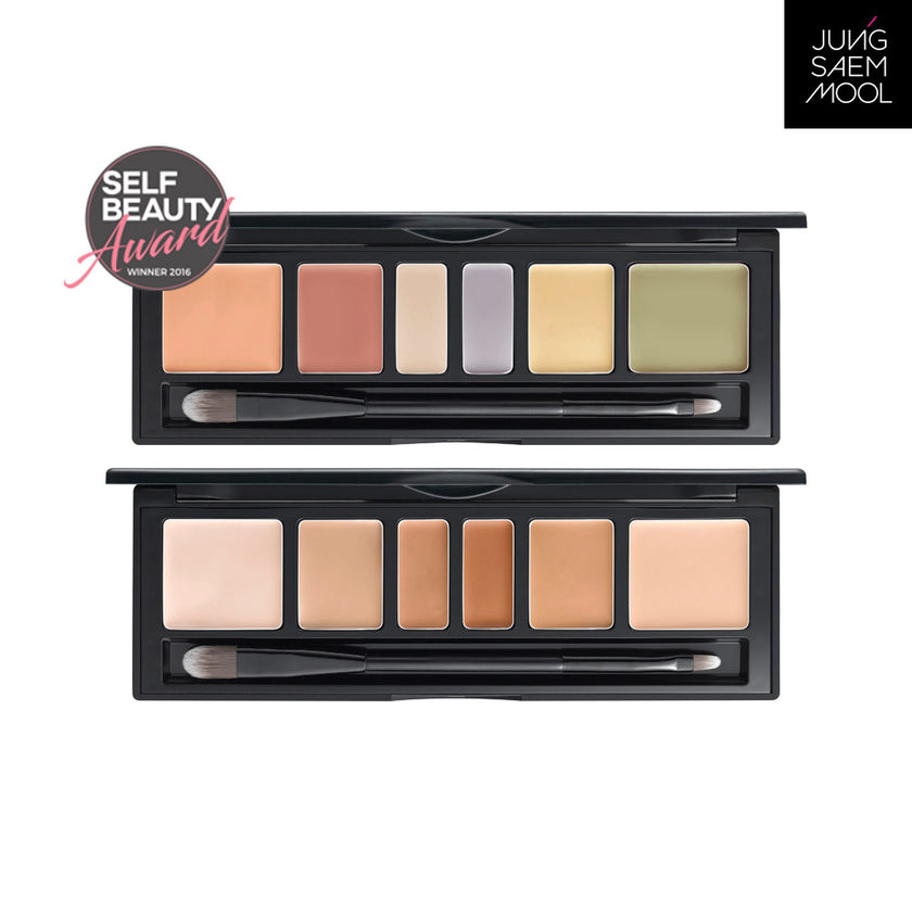 Artist Concealer Palette