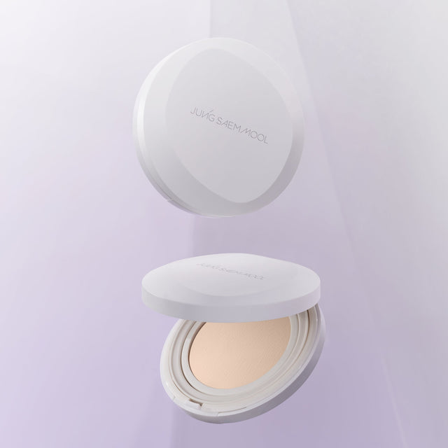 Pro-lasting Flawless Fit Mesh Cushion