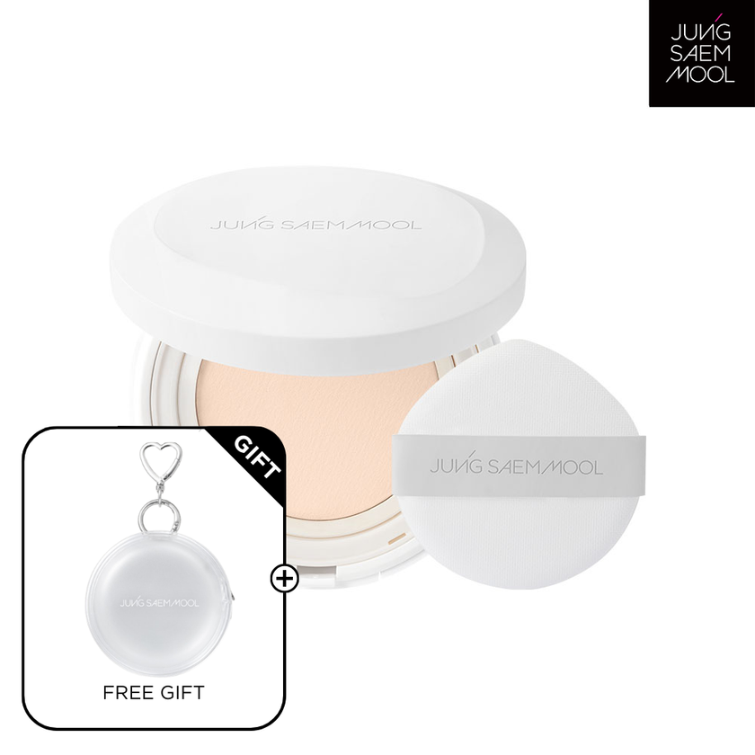 Pro-lasting Flawless Fit Mesh Cushion